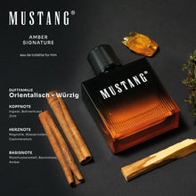 Afbeelding in Gallery-weergave laden, Mustang Amber Signature
